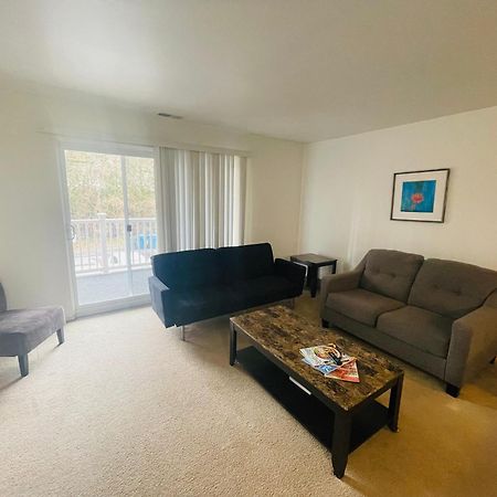 Large, Clean, Comfortable, 1Br Near Einstein Hos Elkins Park 외부 사진